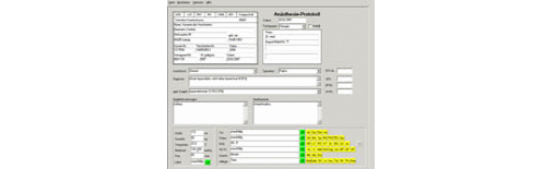 Narkoseprotokoll-Anästhesieprotokoll